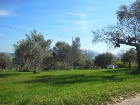 TERRENO EDIFICABILE